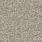 Shaw Del Rio I Carpet in Baltic Stone, , large
