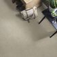 Shaw Anderson Acadia Park Carpet in Shadow, , large