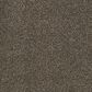 Karastan Upscale Living Carpet in Pinecone, , large