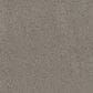 Shaw Game Changing I Carpet in Glacier Park, , large