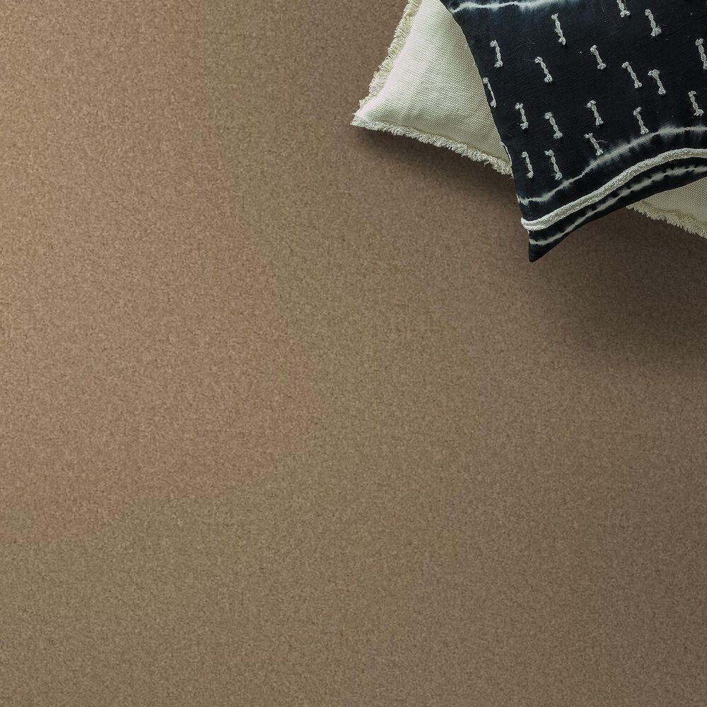 Anderson Tuftex Elegant Beauty Carpet in Natural, , large