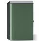 Focal Aria Evo 6.5" N1 Bookshelf Speaker in Moss Green High Gloss, , large