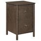 Valor Living Wembley 2-Drawer Vertical File in Burnt Ash, , large