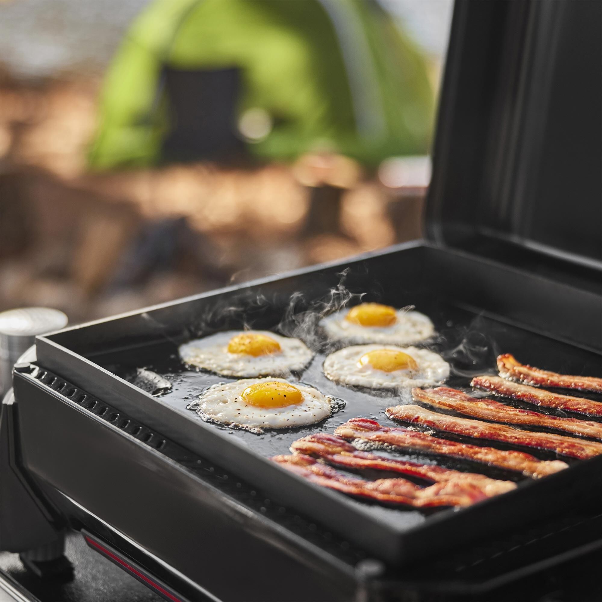 Weber Slate 17