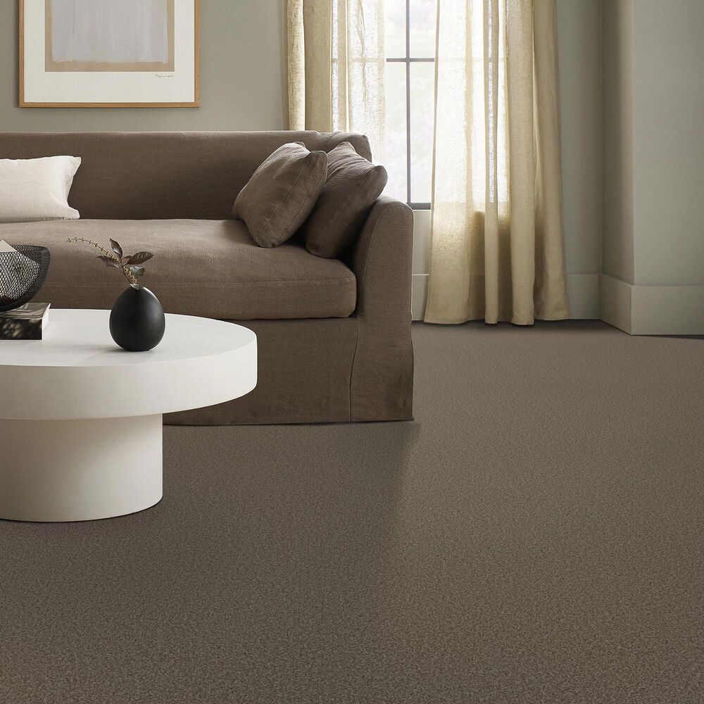 Anderson Tuftex Avalon Bay Carpet in Smokehouse, , large