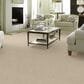 Anderson Tuftex Renoir Carpet in Morning Light, , large