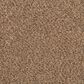 Mohawk Revive Carpet in Pretzel Twist, , large