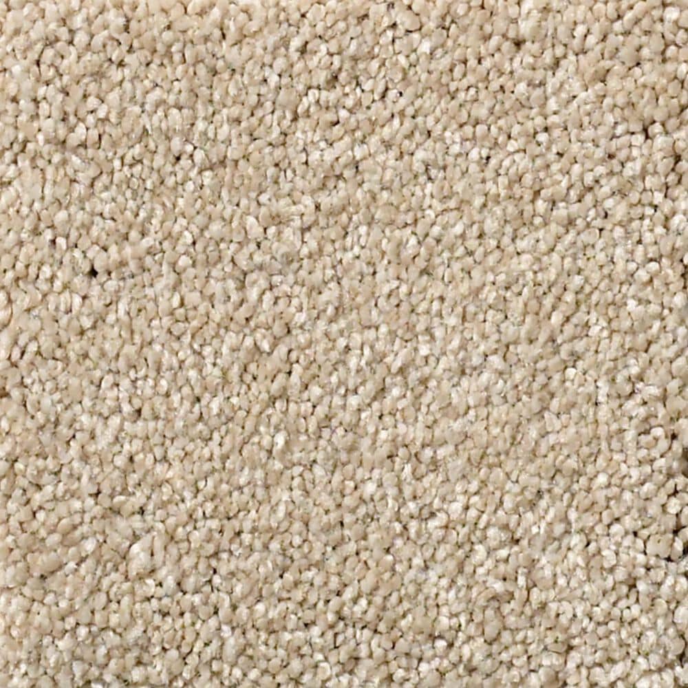 Shaw Your Comfort I Carpet in Dinner with Friends, , large