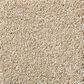Shaw Your Comfort I Carpet in Dinner with Friends, , large