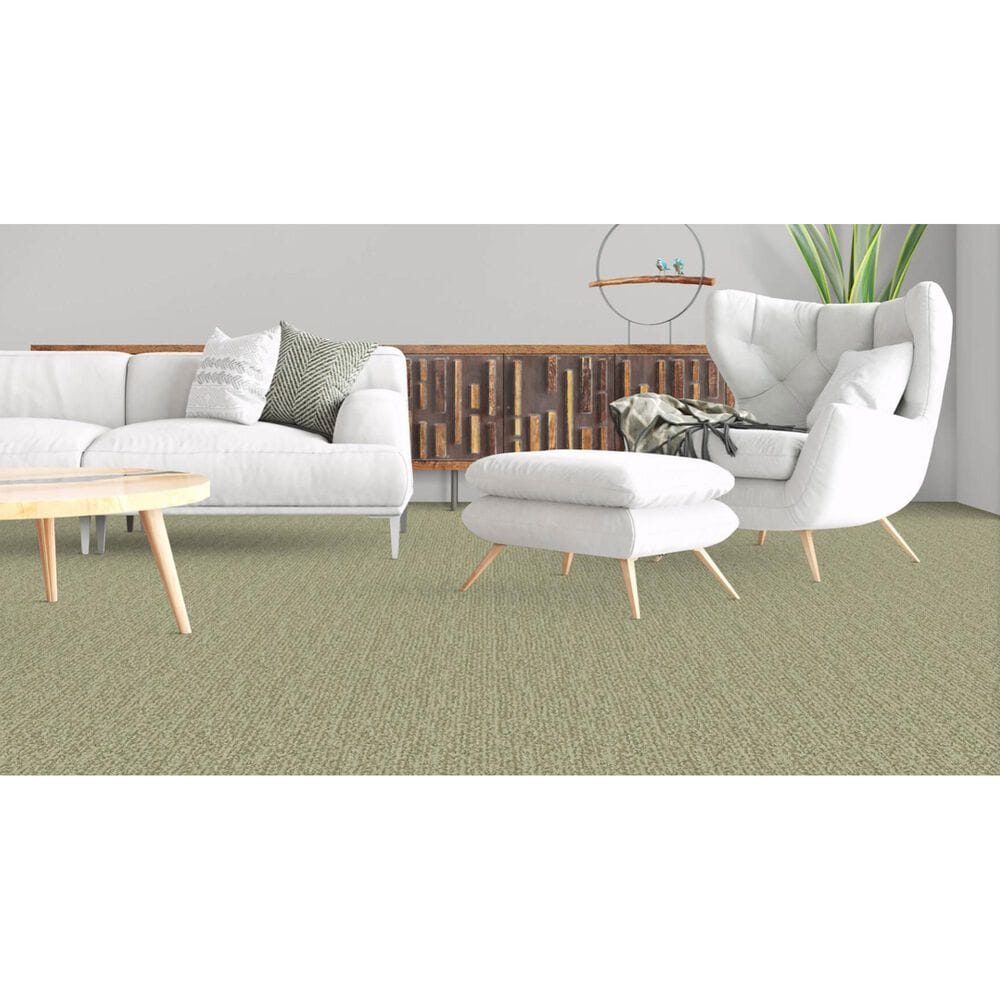 Masland Mesa Verde Carpet in Fairmont, , large