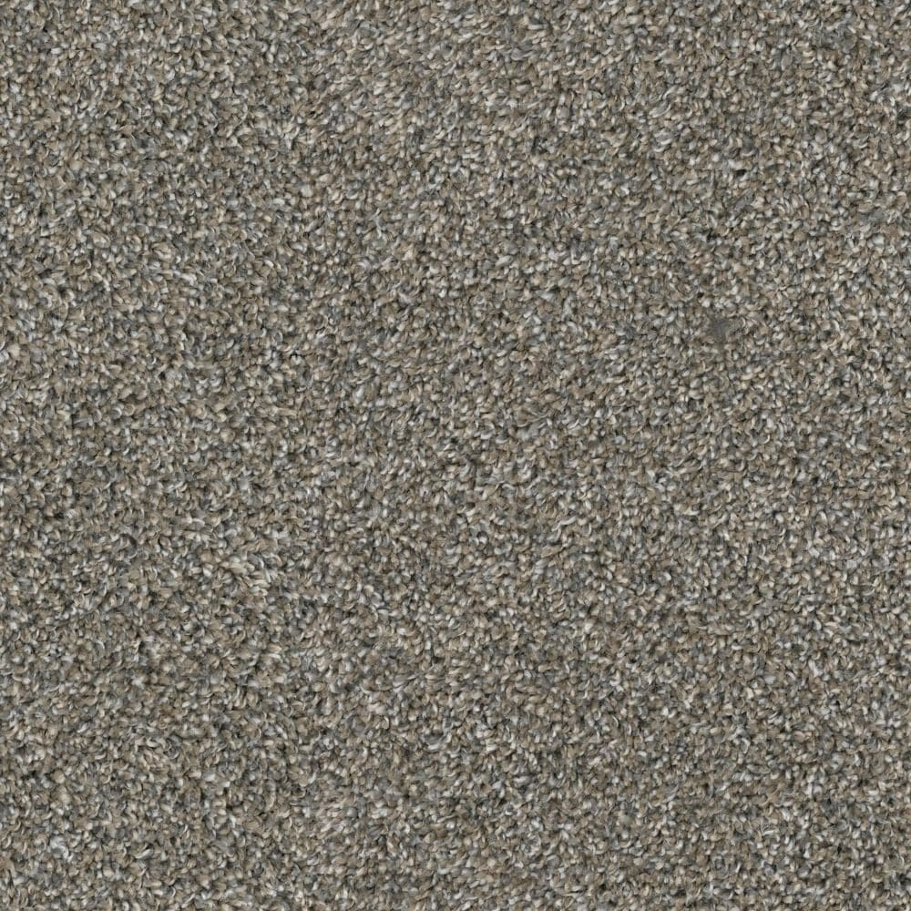 Dixie Home Main Force Carpet in River Rock, , large