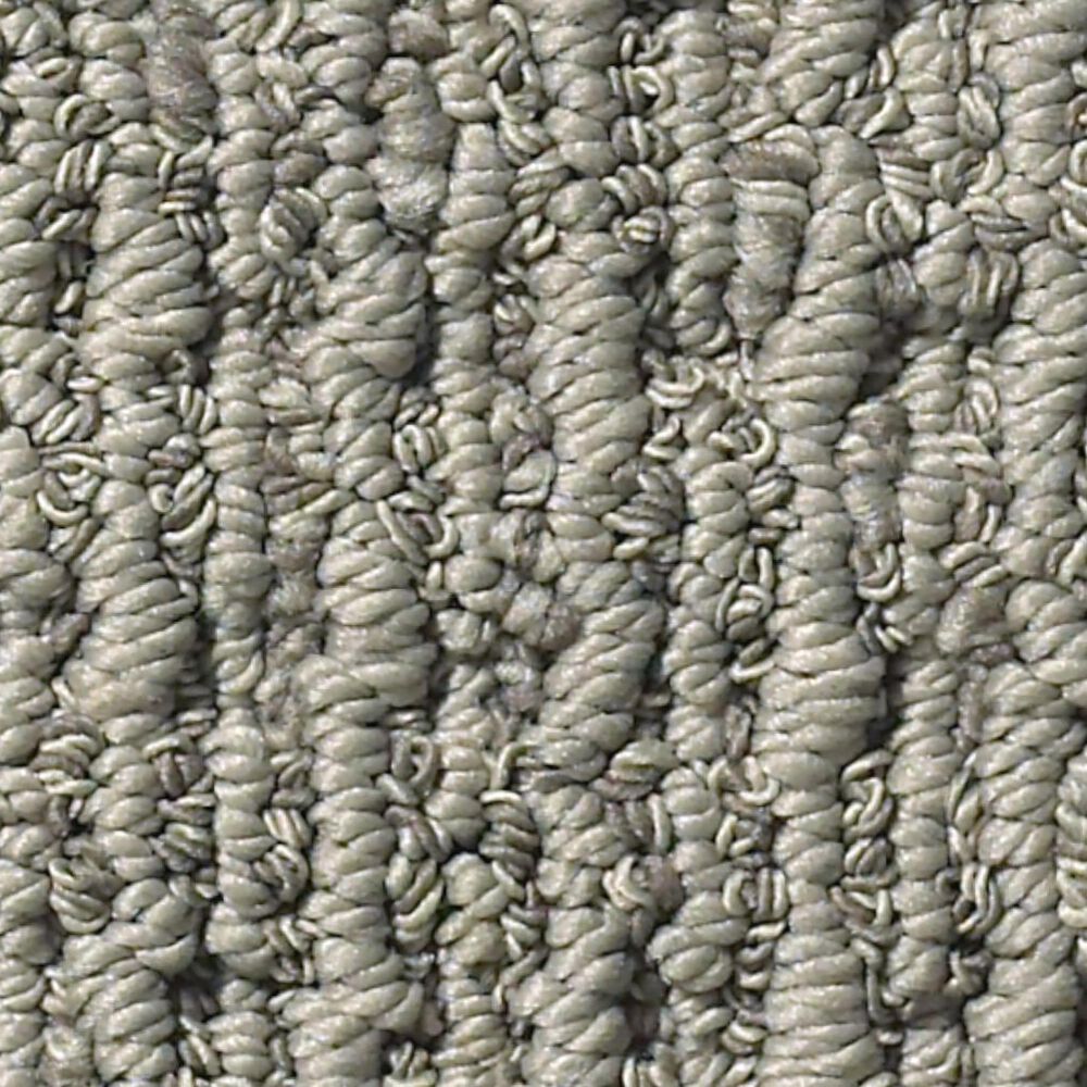 Anderson Tuftex Truly Delightful Carpet in Shawdow NFM