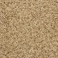 Masland Classical Carpet in Adagio, , large