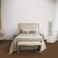 Dixie Home Galliard Carpet in Dormer, , large