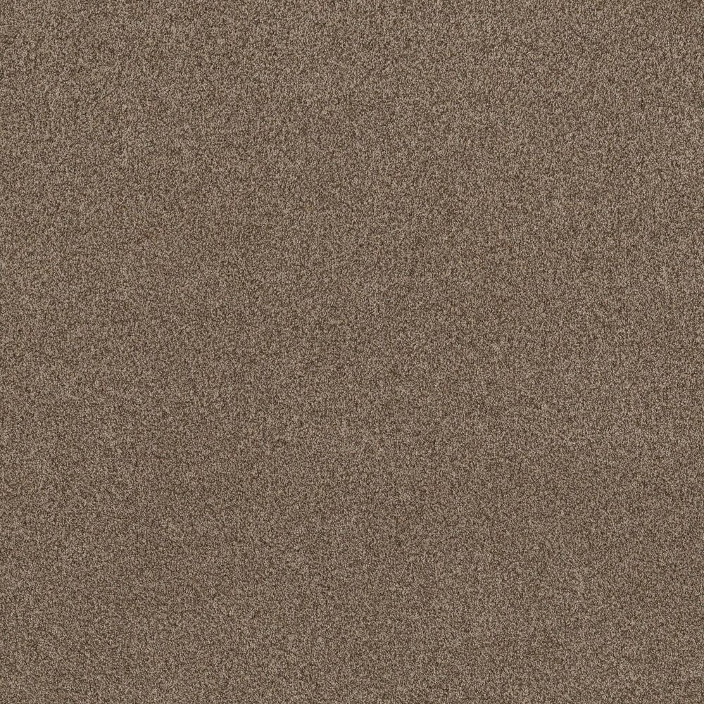 Anderson Tuftex Terra Nova Carpet in Joshua Tree, , large