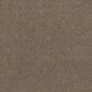 Anderson Tuftex Terra Nova Carpet in Joshua Tree, , large