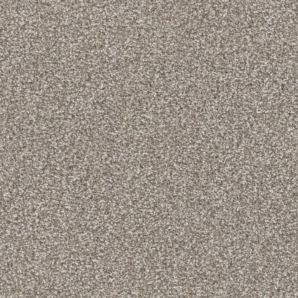 Masland Hawkshaw Carpet in Pongo, , large