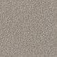 Masland Hawkshaw Carpet in Pongo, , large