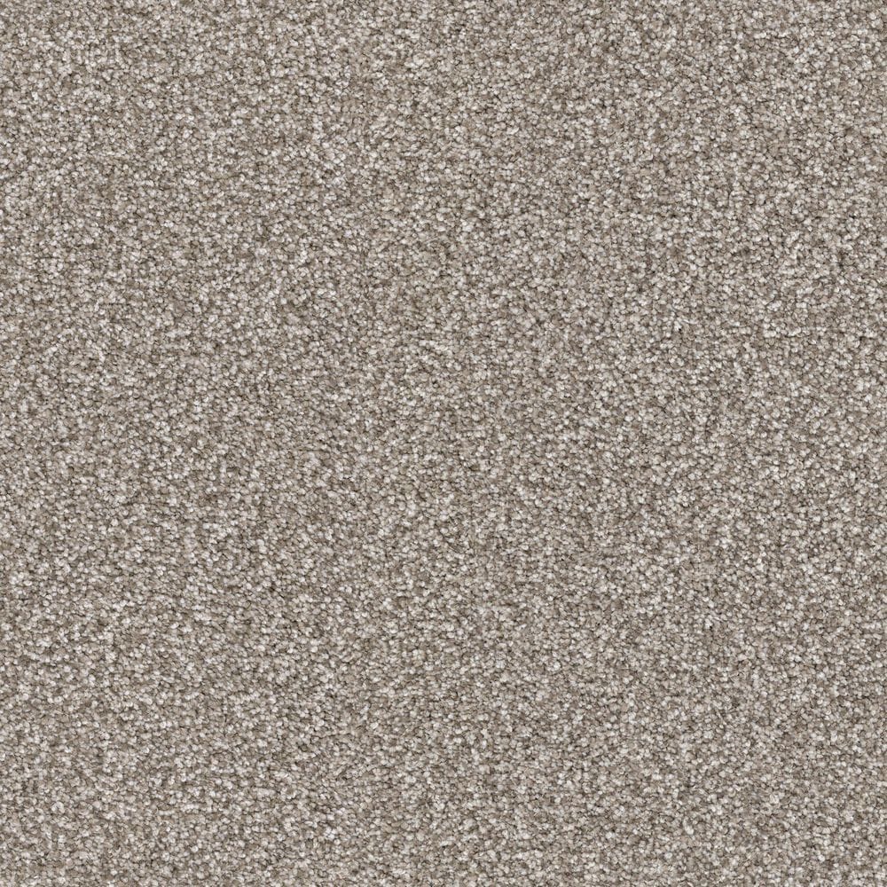 Masland Hawkshaw Carpet in Pongo, , large