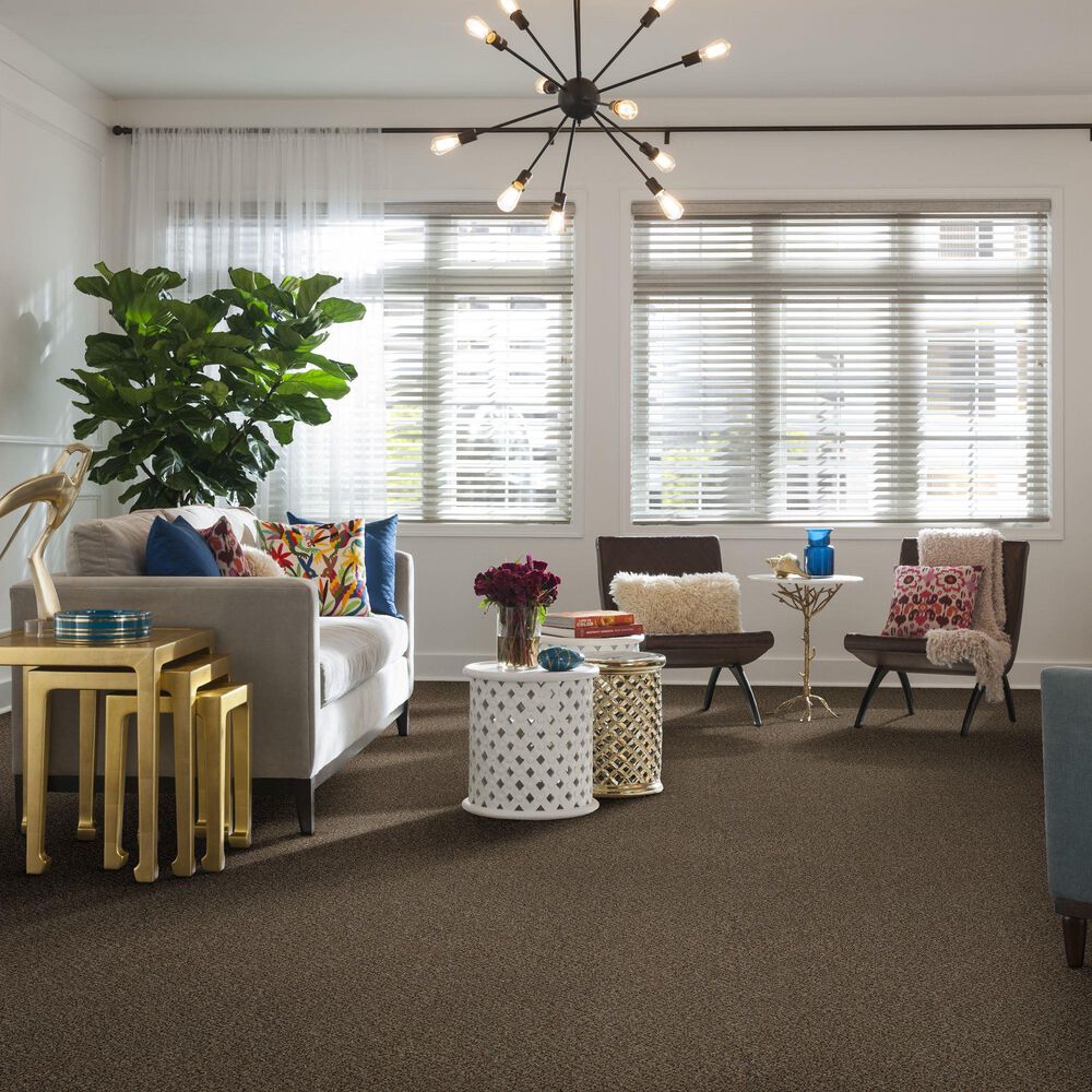 Philadelphia Mixed Essentials Carpet in Raw Wood, , large