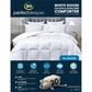 Blue Ridge Home Fashions Serta 233 Thread Count Full/Queen All Season Comforter in White Goose, , large