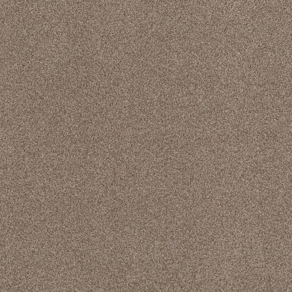 Anderson Tuftex Terra Nova Carpet in Roasted, , large