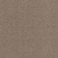 Anderson Tuftex Terra Nova Carpet in Roasted, , large