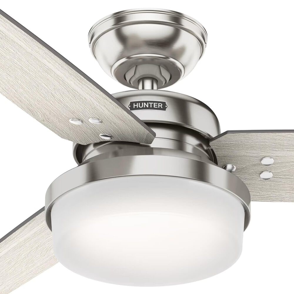 Hunter Sentinel 44&quot; Ceiling Fan with LED Lights in Brushed Nickel, , large