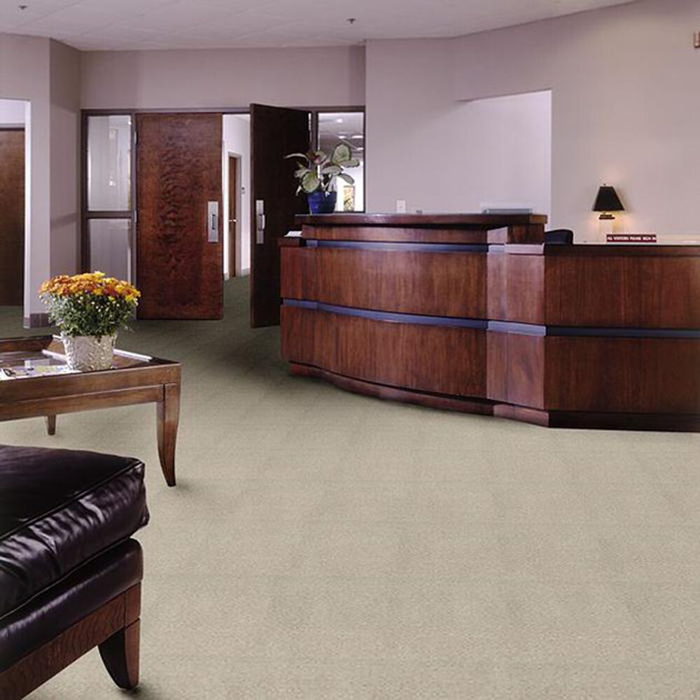 Shaw Primus Carpet in Principal, , large