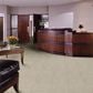 Shaw Primus Carpet in Principal, , large