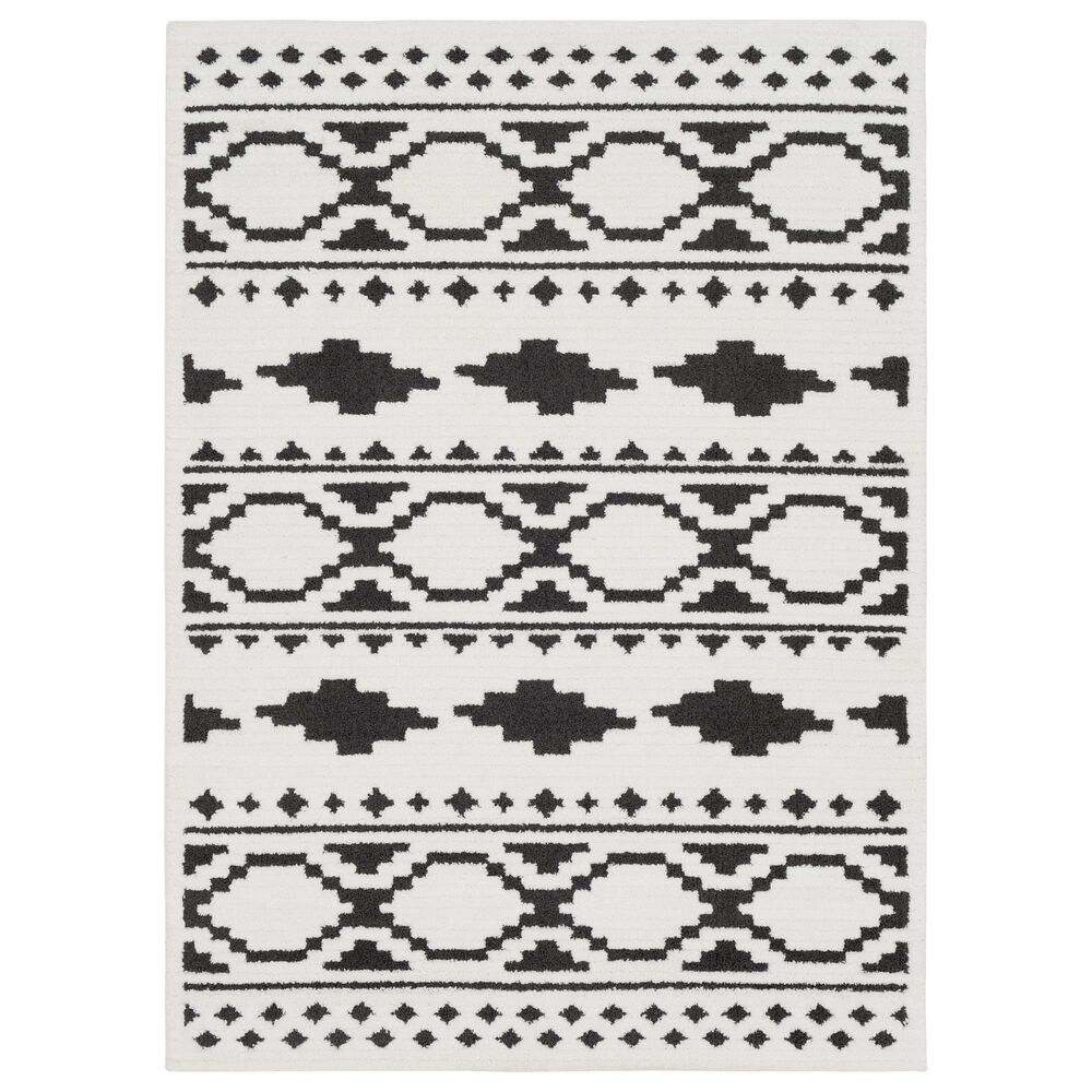 Surya Moroccan Shag MCS-2305  2" x 3" Black and White Area Rug, , large