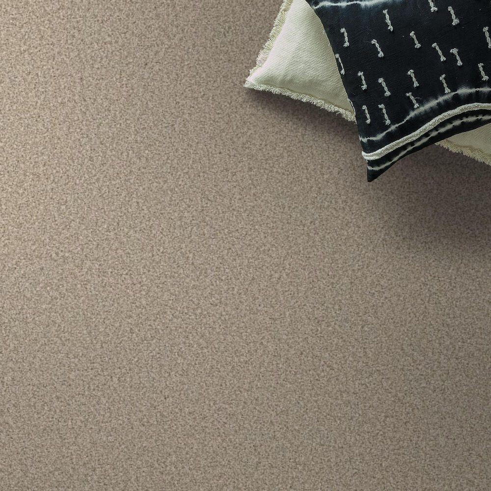 Shaw Tweed Comfort II Carpet in Vacay, , large