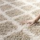 Safavieh Dallas Shag SGD258D-6R 6" Round Beige/Ivory Area Rug, , large