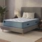 Dreamfinity FlipRest Medium Twin Mattress, , large