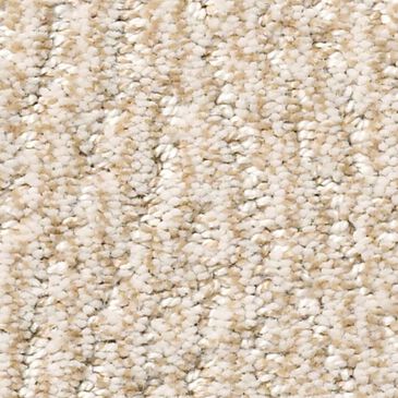 Anderson Tuftex Fur-Ever Carpet in Old Country, , large