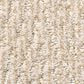 Anderson Tuftex Fur-Ever Carpet in Old Country, , large