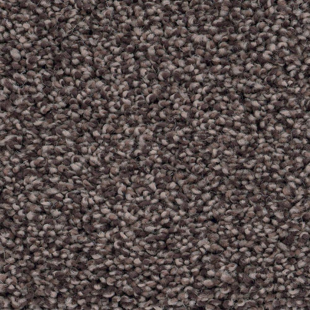 Anderson Tuftex Caress Cozy Harbor I Carpet in Burma Brown, , large