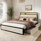 HOMLUX 2-Drawer Queen Storage Bed with LED Headboard and USB Ports in Beige, , large