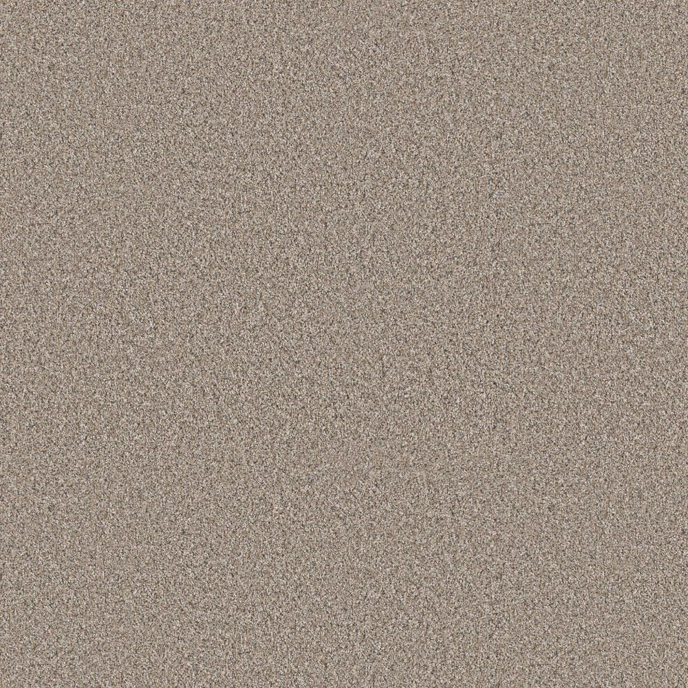 Shaw Higher Ground II Carpet in Nutria, , large