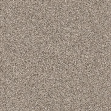 Shaw Higher Ground II Carpet in Nutria, , large