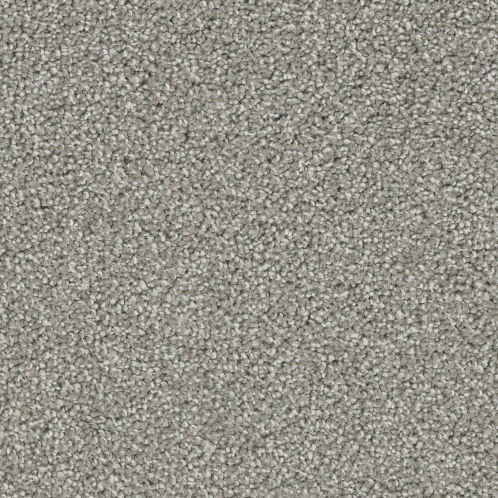 Phenix Lido Carpet in Luxe Living, , large