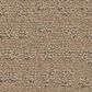 Anderson Tuftex West Haven Carpet in Beach Grass, , large