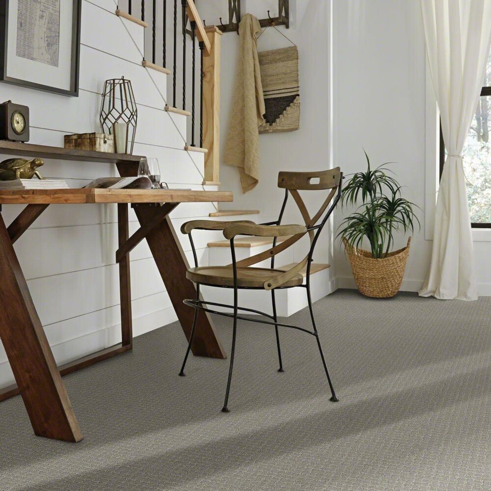 Anderson Tuftex Pawstruck Carpet in Portland, , large