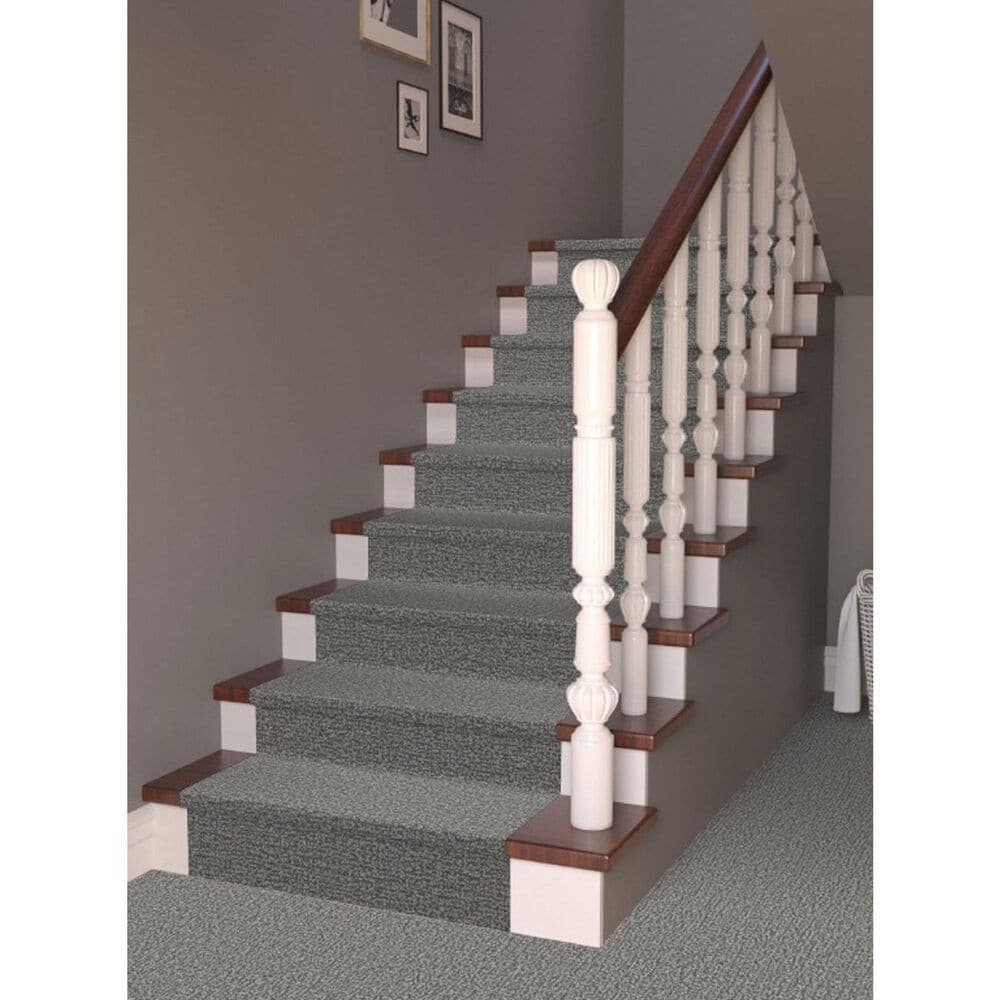 Masland Offspring Carpet in Mutt-Ropolitan, , large