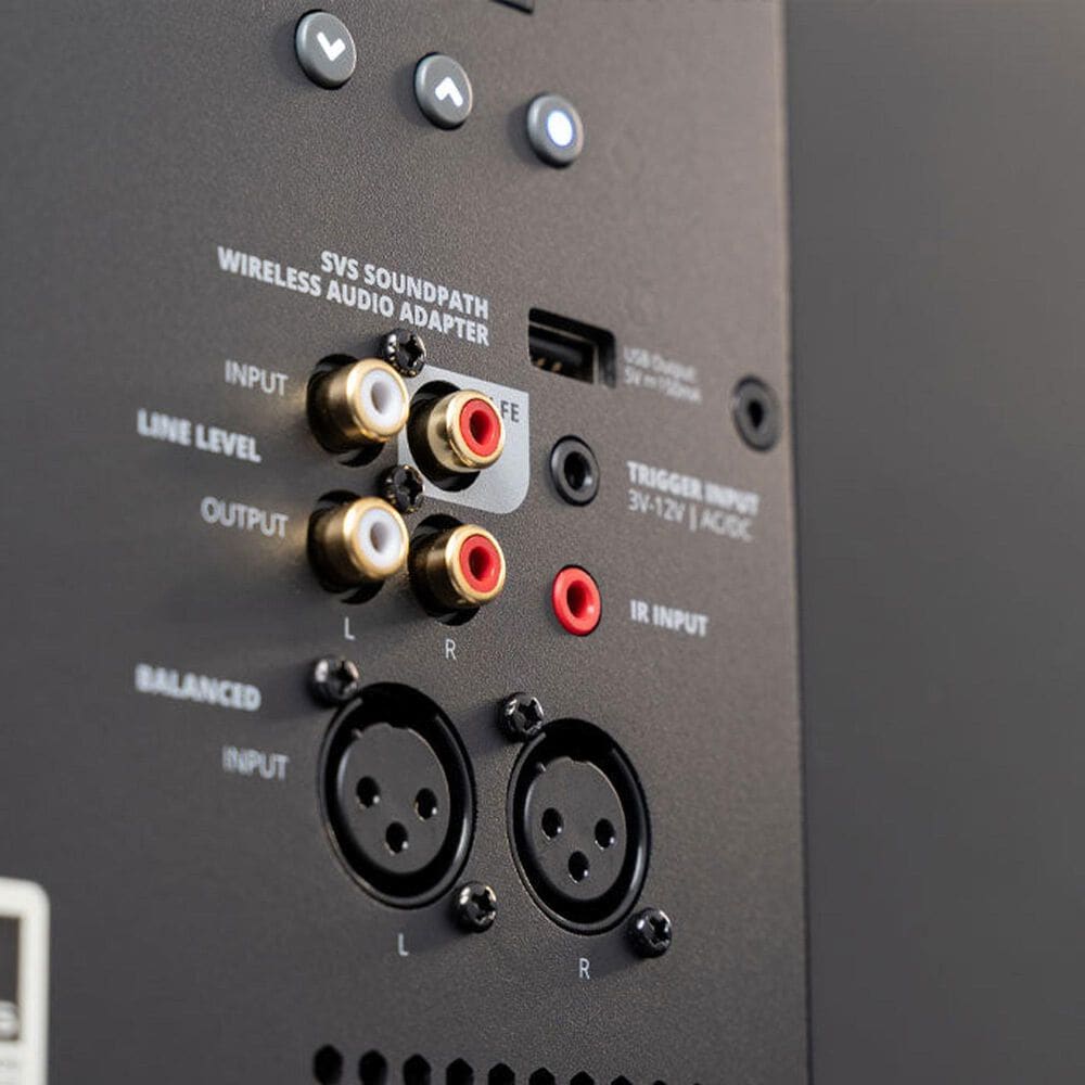 SVS PB-3000 R Evolution Subwoofer - Black Ash, , large