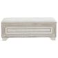 Chapel Hill Camila Storage Bed Bench in Camila White, , large