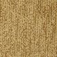 Masland Mesa Verde Carpet in Imperial, , large