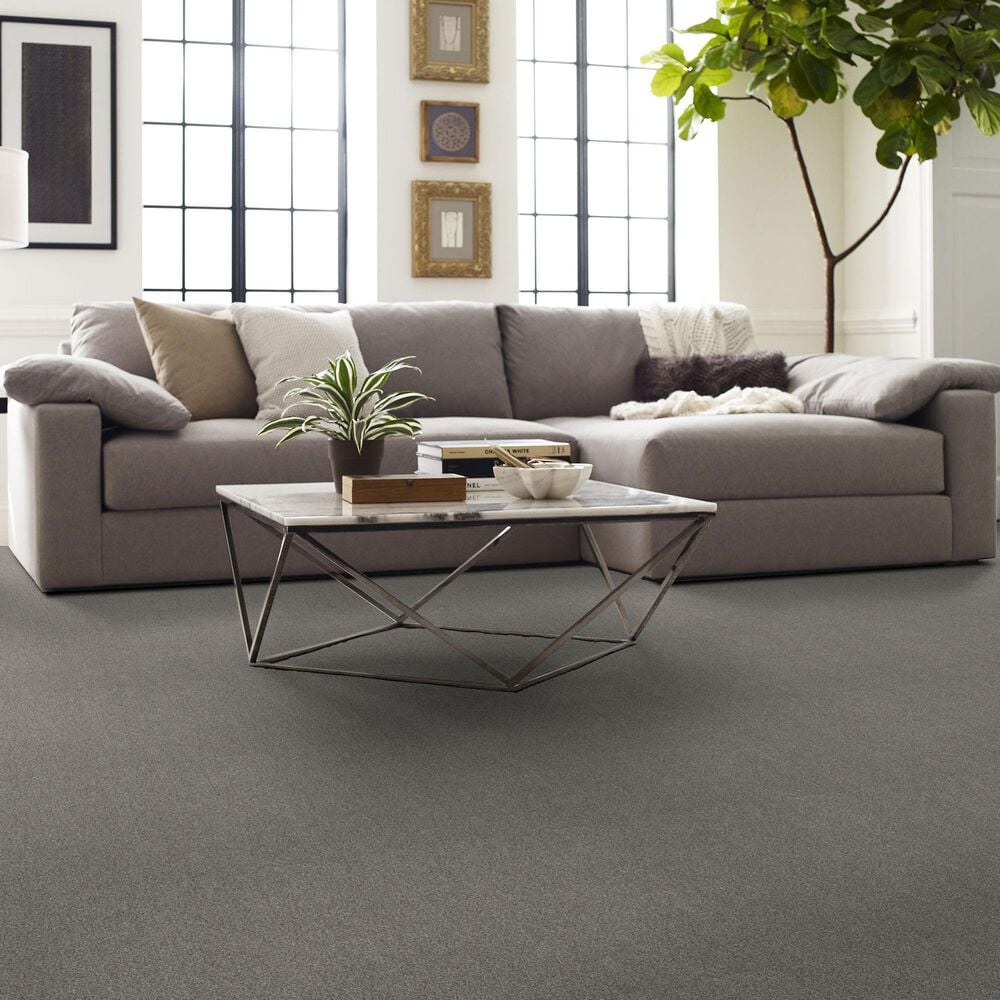 Shaw Comforting I Carpet in Stepping Stone, , large