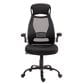 New Era Holding Group LTD Executive Desk Chair in Black Mesh, , large