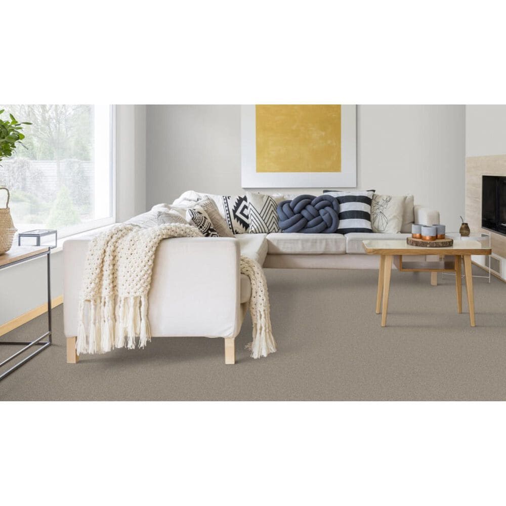 Dixie Home Devotion Carpet in Windsor, , large